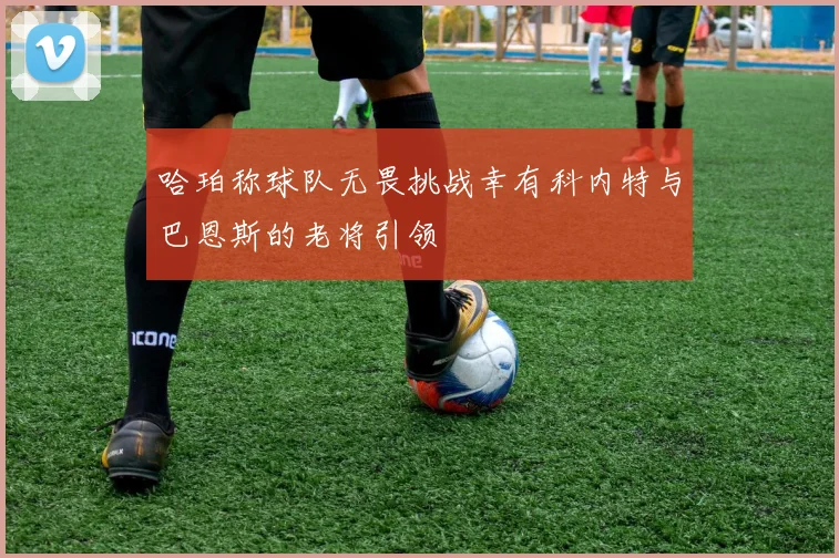哈珀称球队无畏挑战幸有科内特与巴恩斯的老将引领